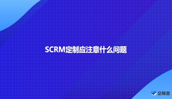 SCRM定制应注意什么问题