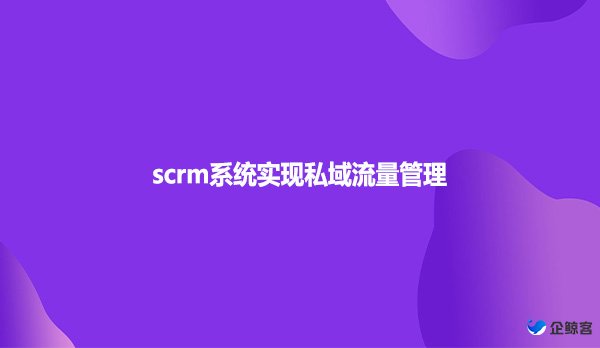 scrm系统实现私域流量管理