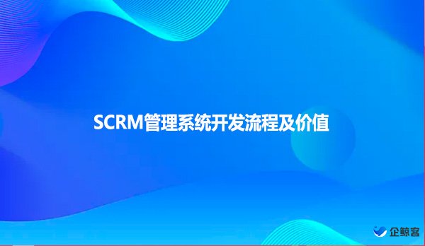 SCRM管理系统开发流程及价值