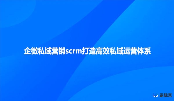 企微私域营销scrm打造高效私域运营体系