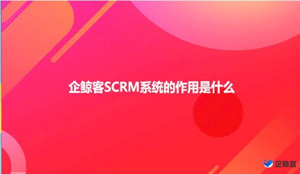 企鲸客SCRM系统的作用是什么